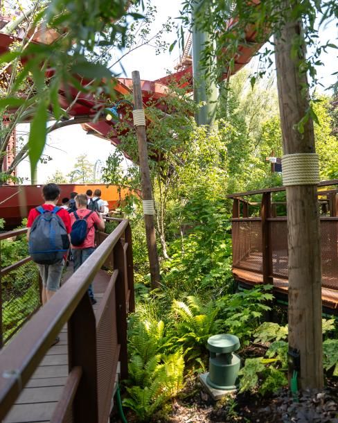 Case Bellewaerde door Apollo