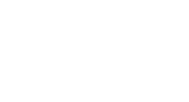 Chief